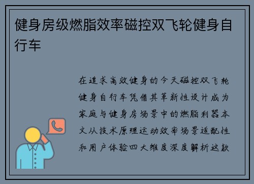 健身房级燃脂效率磁控双飞轮健身自行车