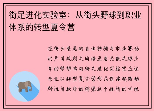 街足进化实验室：从街头野球到职业体系的转型夏令营
